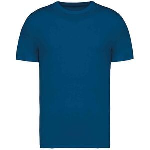 Native Spirit Unisex Adult Heavyweight Slim T-Shirt / Blue Sapphire